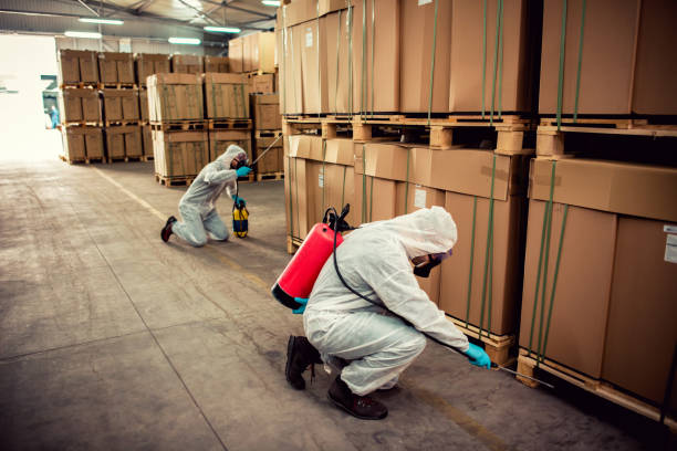 Trusted Shelter Island Heights, NY Pest Control Experts
