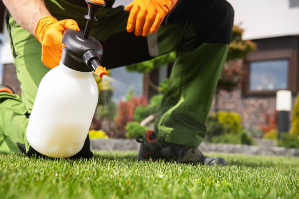 Trusted Shelter Island Heights, NY Pest Control Experts