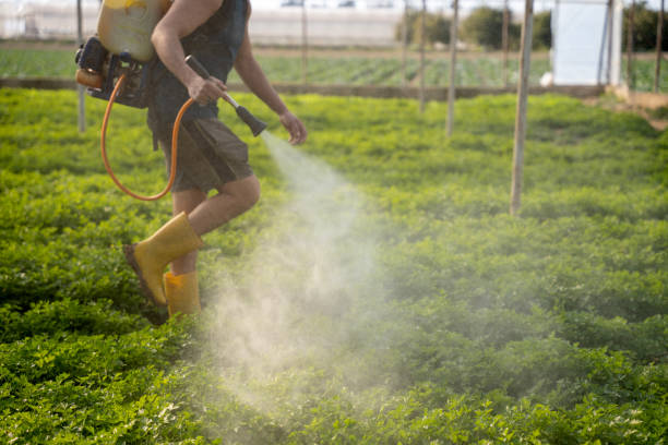 Best Affordable Pest Control Services  in Shelter Island Heights, NY