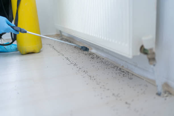 Best Best Pest Control Companies  in Shelter Island Heights, NY